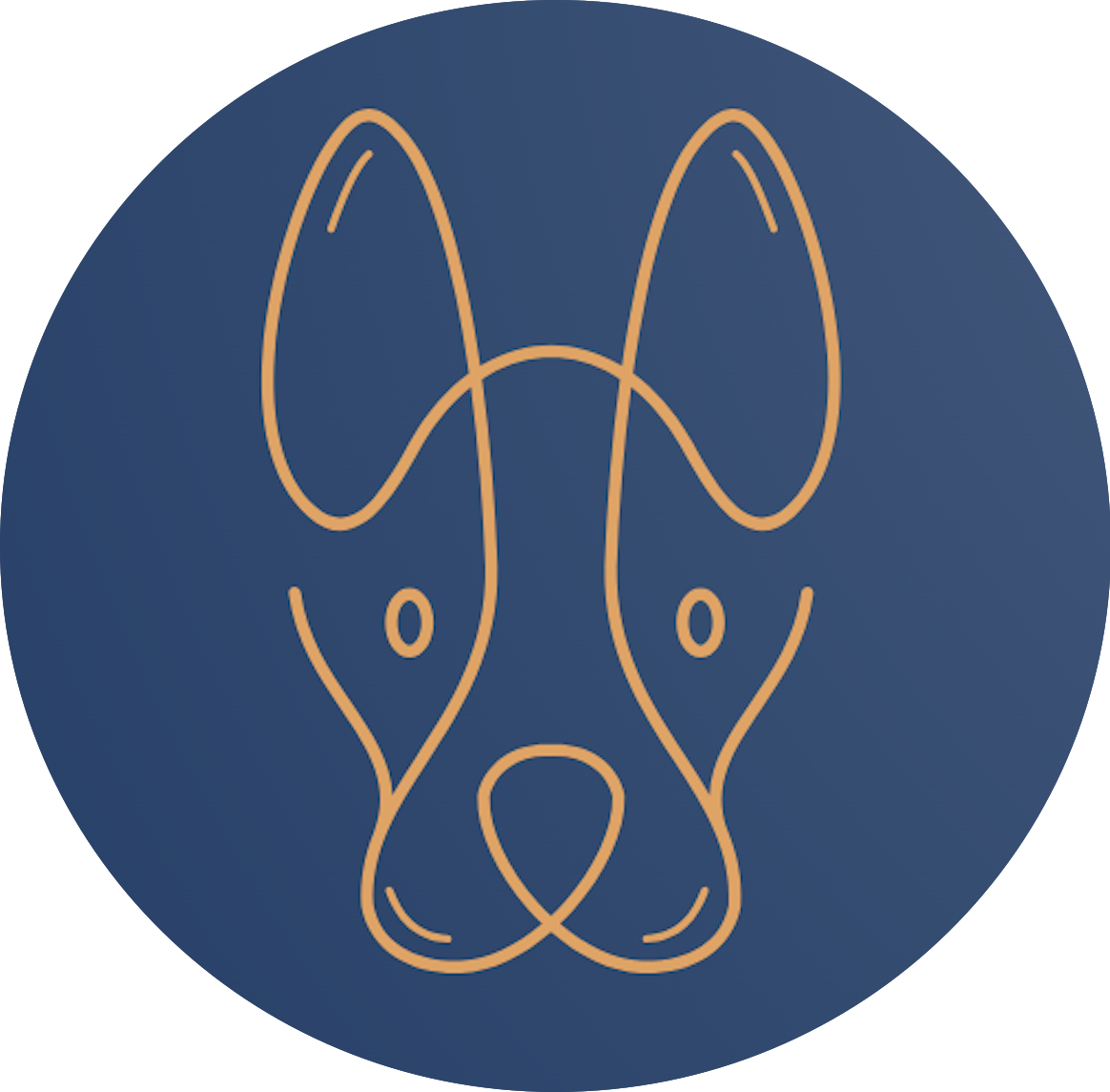 VetPA.ai